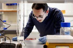 Postdoctoral Fellow, Luke Perreault, PhD, working in the laboratory on decellularized spinach leaves as scaffolds for cell growth.